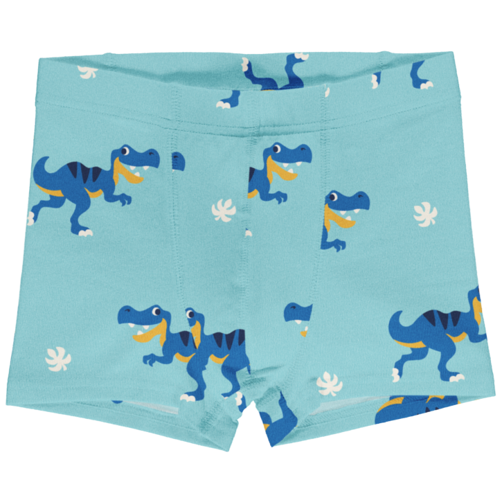 Boxer shorts dino