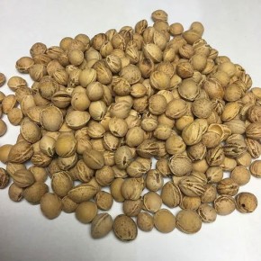 Kirschkern Kissen Alpaka naturweiss