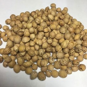Schaf bleu Kirschkernkissen