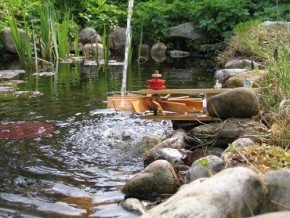 Turbinchen- der Schnelläufer
