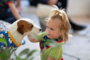 Dreiecktuch Krokodil