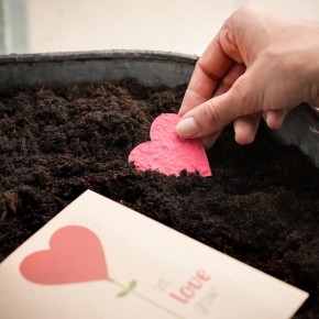 let love grow - lass die Liebe wachsen cremeweiss